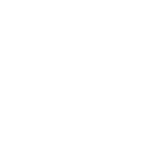 Auto Serwis MotoMania